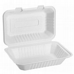 Take Away Food Container Packaging Sugarcane Bagasse Biodegradable Lunch Box