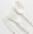 Disposable Compostable CPLA Knife / Fork