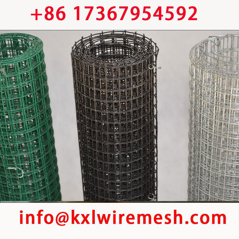 Welded Wire Mesh