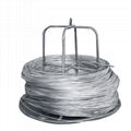 Galvanized Wire