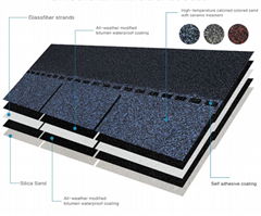 Roofing asphalt shingles