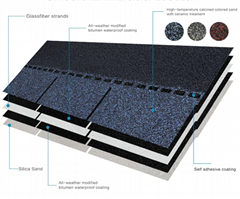 Roofing asphalt shingles with different shape