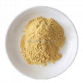 High quality free sample CAS28578-16-7 PMK ethyl glycidate 1