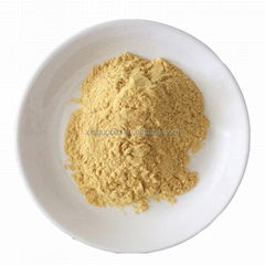 High quality free sample CAS28578-16-7 PMK ethyl glycidate