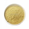 Hot selling high purity CAS137350-66-4 C20H13NO7 4