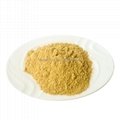 Hot selling high purity CAS137350-66-4 C20H13NO7 5