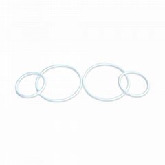 PTFE Ring