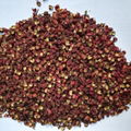 MAXIANGZUI Grade A Dried Prickly Ash 1KG 1