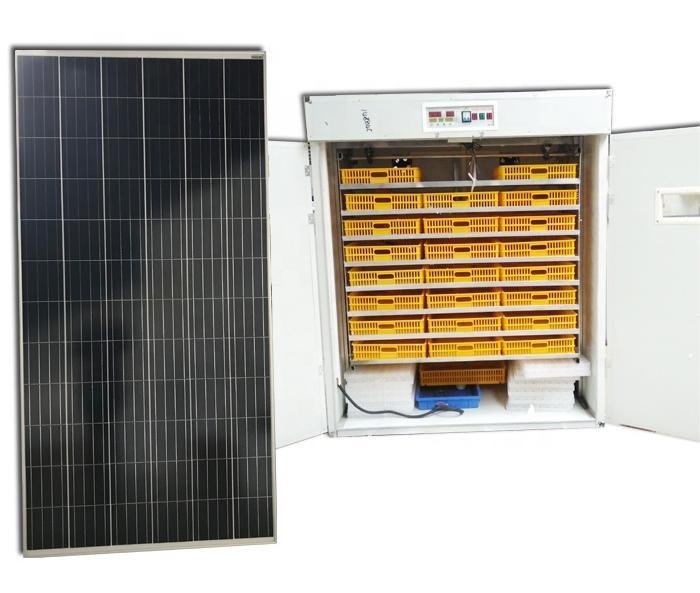Solar powered Eggs Incubator