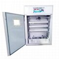 Energy Cheapest Hatchery Incubator for Quail Eggs Chicken 3