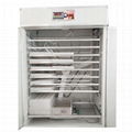 Factory Poultry Egg Incubator Hatcher Equipment for Medium Business 1