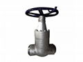 4 Inch Gate Valve