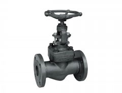 6 Globe Valve