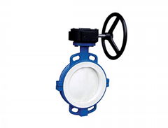 6 Inch Butterfly Valve