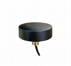 2.4GHz Omni-direction Screw Mount