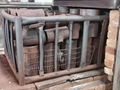 Carbon Steel Pipe Tee 1