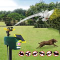 Multifunctional Sprinkler Pir Sensor Outdoor Deer Birds Dog Repeller AN-B060 4