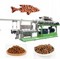 High efficiency fish feed production