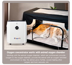 Oxygen Therapy For Pets, Trusted By Thousands Veterinary Hospitals