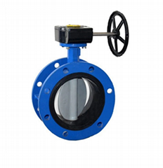 ggg50 butterfly valve