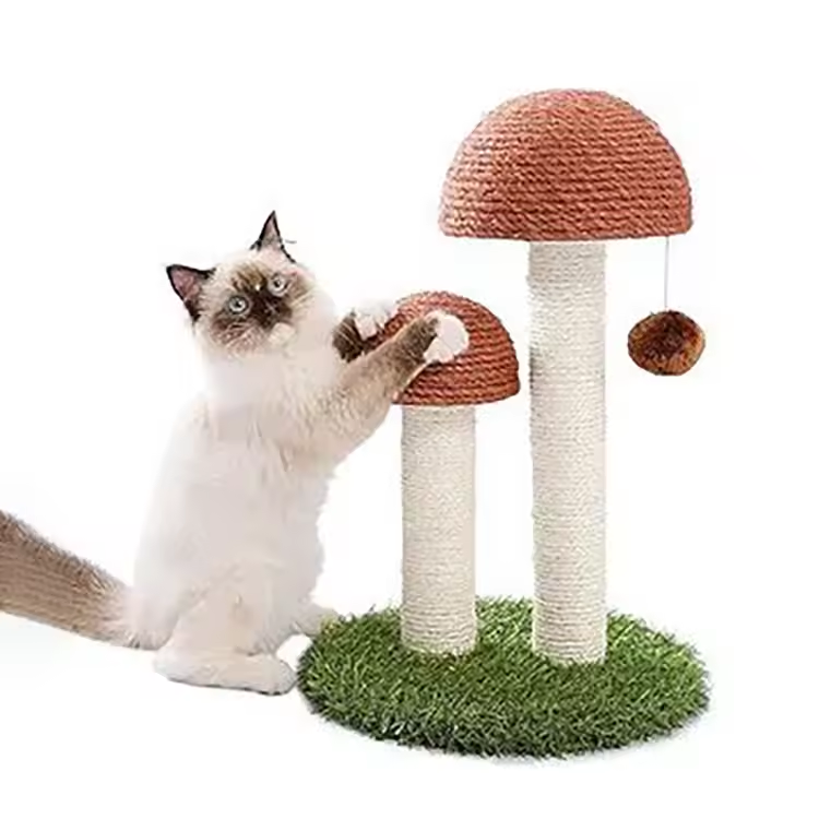 Scratching Post Tree Scratcher Real Mushroom Cat Tree Tower House 3