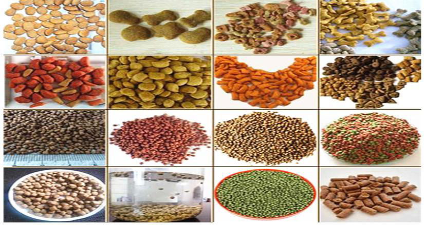 Pet Pellet Food Production Line 3