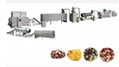 Corn Flakes Extruding Processing Line 2