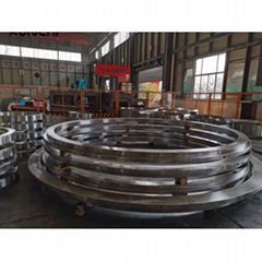 Seamless Rolled Ring Forging