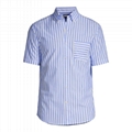 Chicory Blue Stripe Traditional Print Shirt 1