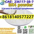 CAS 236117-38-7 High Quality 2-Iodo-1- (4-methylphenyl) -1-Propanone 1