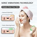 Mlike Beauty Wholesale Electric Face Massager 1