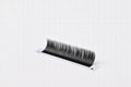 Classic eyelashes JBCDL curl 0.15mm eyelash extensions 5