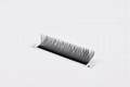 YY Shape Lashes 0.05 0.07 Thickness Individual Eyelash Extensions 4