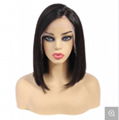 Short Hair Lace Straight hair Peruvian Human Hair Brazilian Hair Wigs