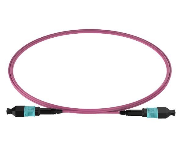 8F OM4 MPO Trunk Cable