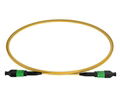 MPO SM 12F Trunk Cable