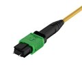 MPO SM 12F Trunk Cable 2