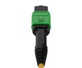 MPO SM 12F Trunk Cable 3