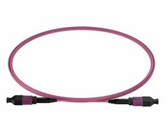 OM4 MPO Trunk Patch Cord