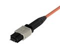 MPO MM Trunk Patch Cord 2
