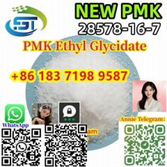 High Purity 99% PMK Ethyl Glycidate Powder CAS 28578-16-7 Negotiable Price