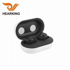 The Elderly Invisible Mini Hot Sell Rechargeable ITE Ear Sound Hearing Aid