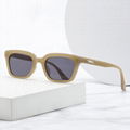 2023 new fashion sunglasses 6503 ins