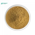 Astragalus polysaccharide 50%