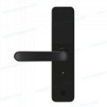 Face Identify Fingerprint Bluetooth Password Electronic intelligent Lock 2