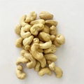 FREE TAXS Raw Cashew Nut W180 W240 W320 1