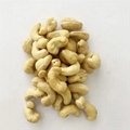 FREE TAXS Raw Cashew Nut W180 W240 W320