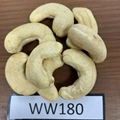 FREE TAXS Raw Cashew Nut W180 W240 W320 4