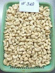 Free Samples Wholesale Cashew Nuts W320 Cashew Nuts Vietnam Cashew with FREE TAX