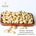 Free Samples Wholesale Cashew Nuts W320 Cashew Nuts Vietnam Cashew with FREE TAX 3